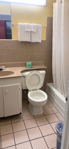 Bathroom 4, Royal Palace Inn & Suites, Horry