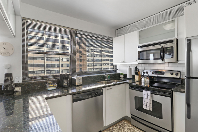 Others 5, 2BR Apt in Hyde Park - Algonquin 8E, Cook