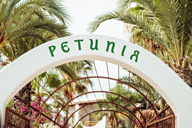 Exterior & Views 2, Petunia Ibiza, a Beaumier Hotel, Baleares