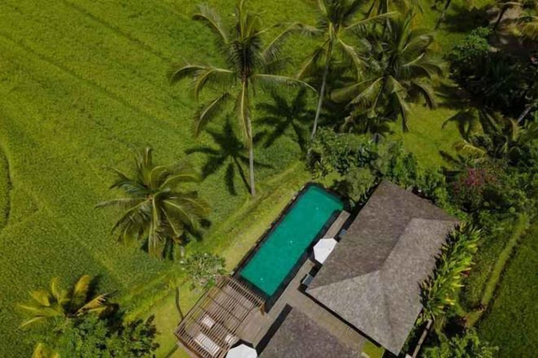 Swimming Pool 24