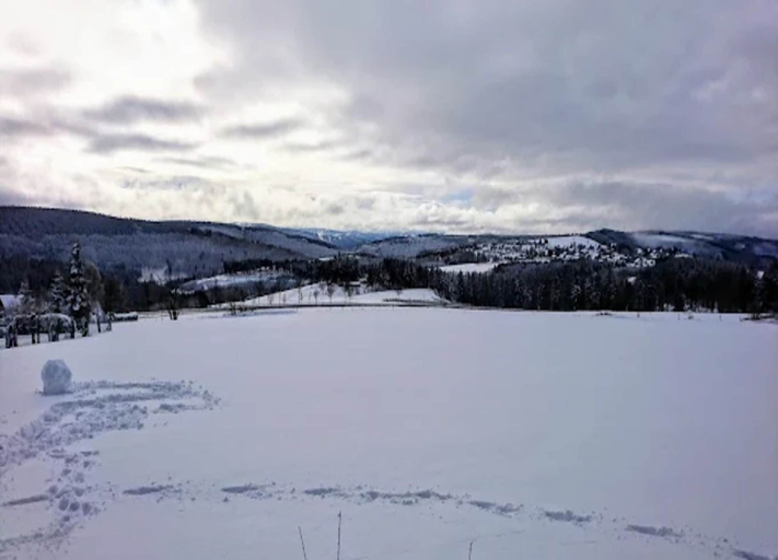 View from property 5, Modern Apartment in Neuastenberg Directly on a ski Area, Hochsauerlandkreis