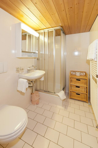 Bathroom 3, Hotel Walliserkanne, Visp