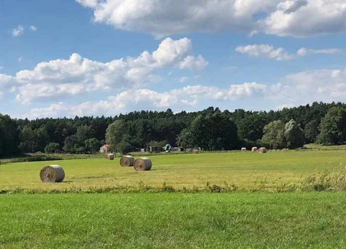 View from property 3, Ferienhaus am Vordersee, Dobbrikow, Teltow-Fläming