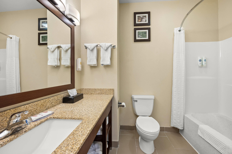 Bathroom 4, Comfort Inn Willow Springs US 60 and US 63, Howell
