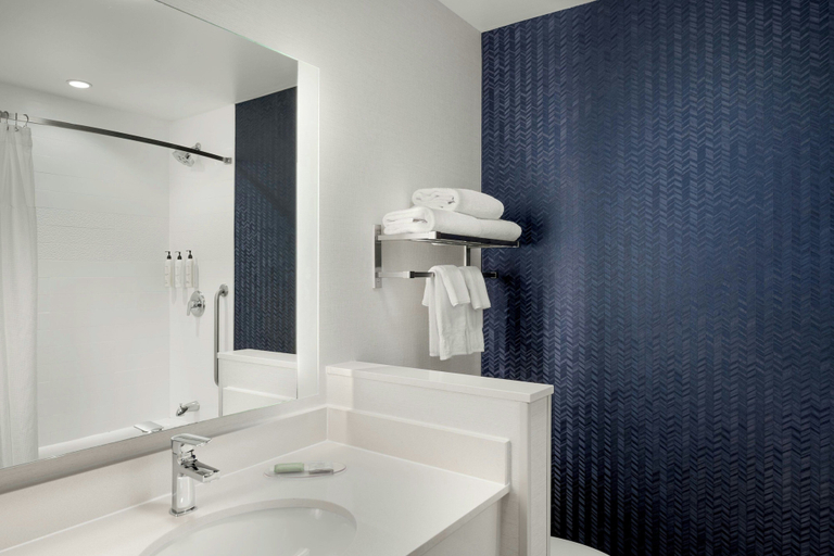 Bathroom 4, Fairfield Inn & Suites Cincinnati Uptown/University Area, Cincinnati