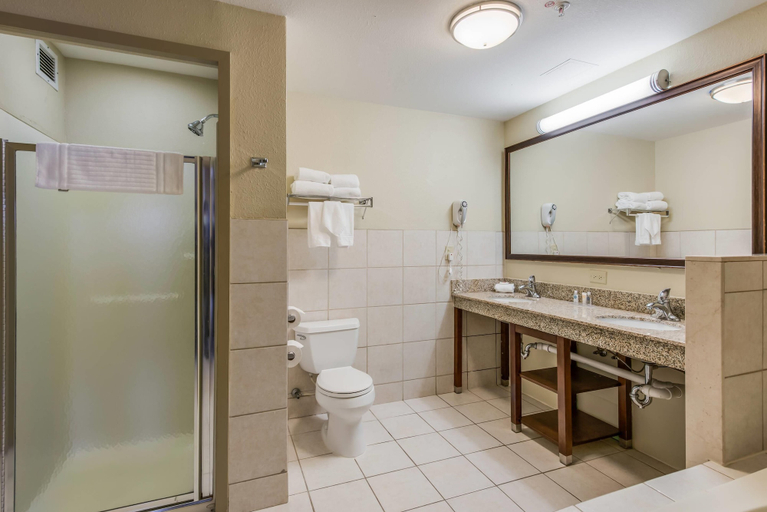 Bathroom 4, Comfort Suites O'Hare Airport, Cook