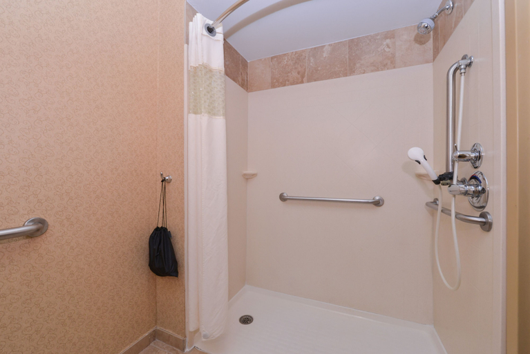 Bathroom 4, Hampton Inn Elkhart IN, Elkhart