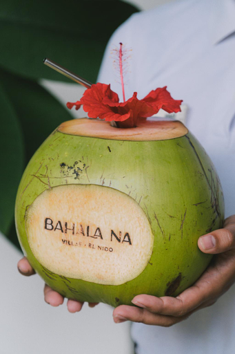 Food & Drinks 5, Bahala Na Villas, El Nido