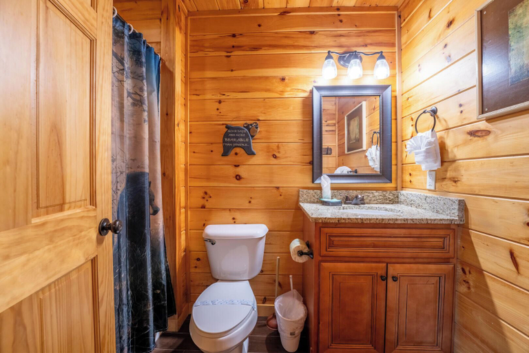 Bathroom 4, Splash With A View, Sevier