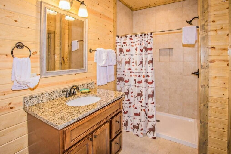 Bathroom 4, All Bear Paws, Sevier