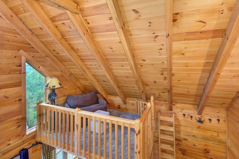 Bedroom 3, Beary Nice to Meet You!, Sevier