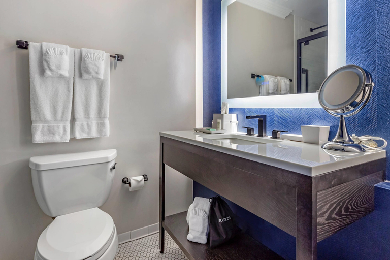 Bathroom 4, Bluegreen Vacations Hotel Blake, an Ascend Collection Hotel, Cook