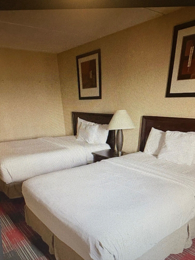Bedroom 3, Albany Plaza Hotel, Albany