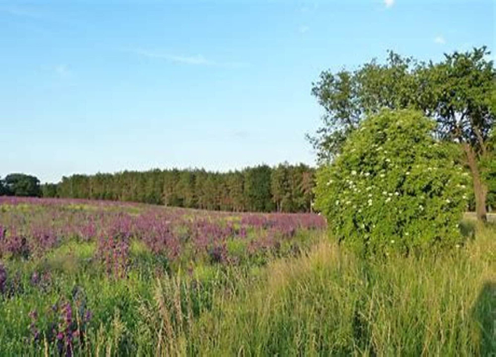 View from property 2, Ferienhaus in Wieda mit Garten, Osterode am Harz