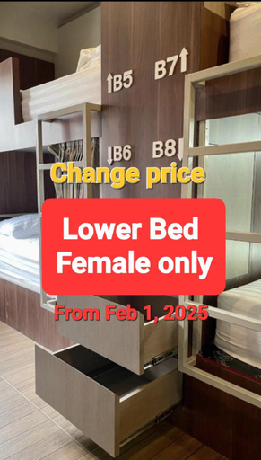 Others 2, Comfort Zone Hostel @ Tha Pae, Muang Chiang Mai