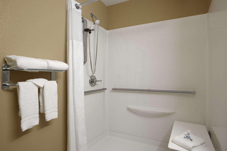 Bathroom 4, Microtel Inn & Suites By Wyndham Mineral Wells/Pa, Wood