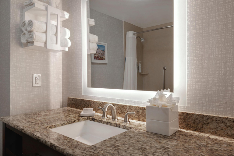 Bathroom 3, Hampton Inn & Suites Shreveport/South, Caddo