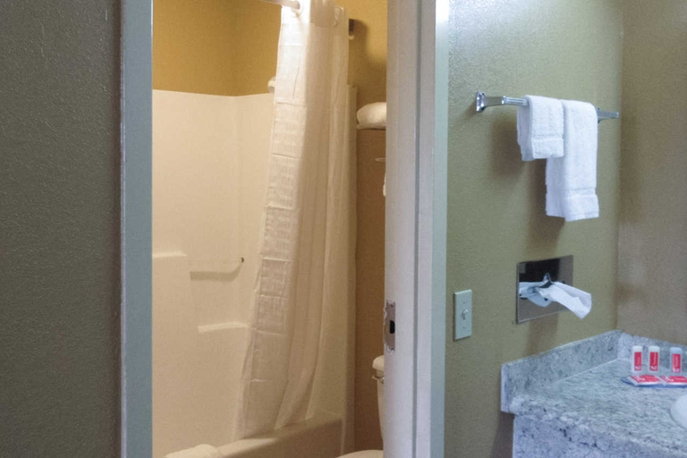 Bathroom 4, Econo Lodge Cuthbert, Randolph