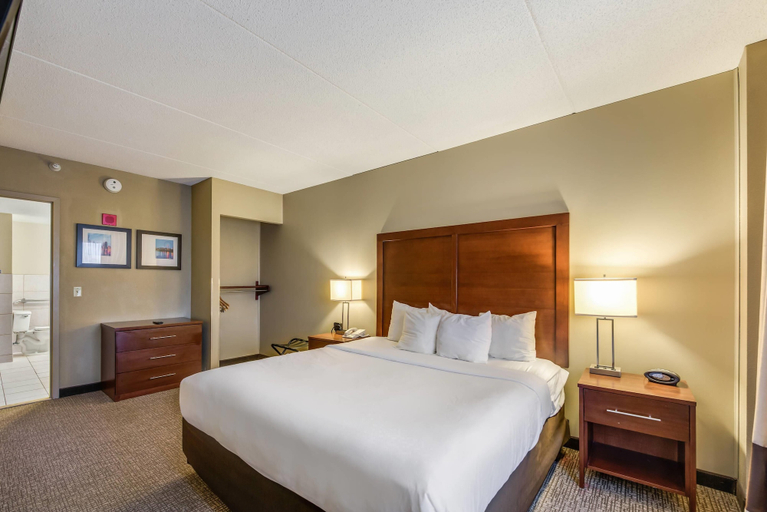 Bedroom 3, Comfort Suites O'Hare Airport, Cook