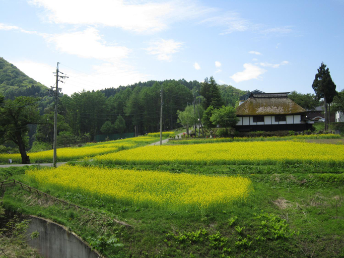 Others 3, Nozawa Onsen Utopia, Nozawaonsen