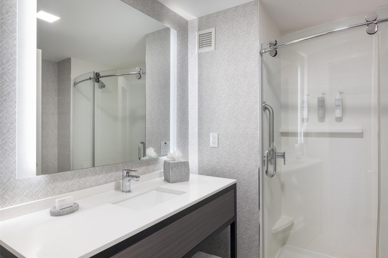 Bathroom 4, Hampton Inn & Suites Portsmouth Downtown, Rockingham