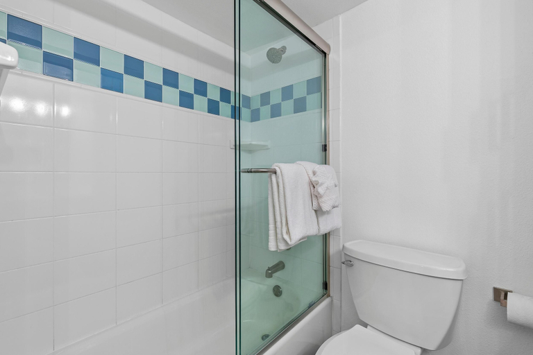 Bathroom 4, Surfside 219, Volusia