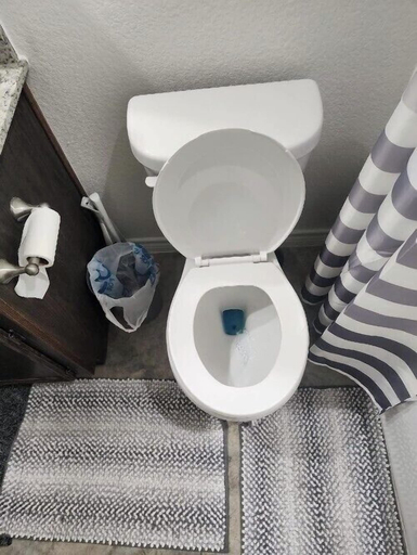 Bathroom 3, The Clean Home, Bell