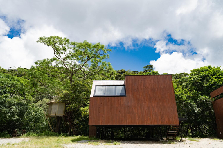 Exterior & Views 1, Treeful Treehouse Sustainable Resort Okinawa, Nago