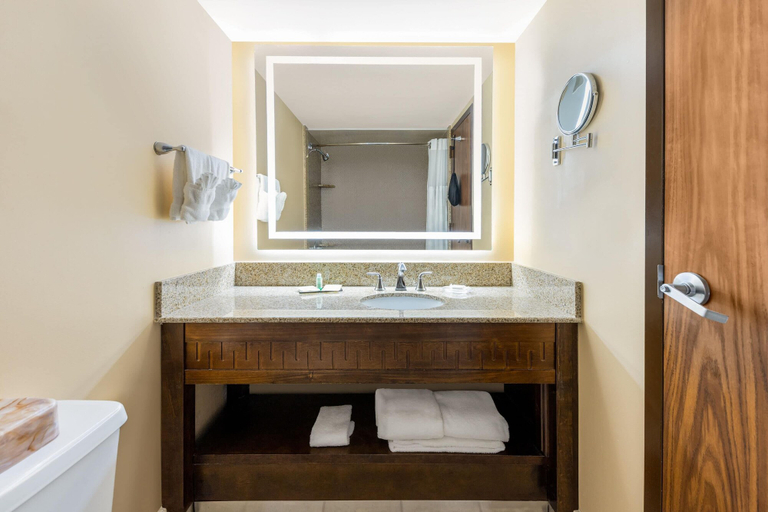 Bathroom 4, Wyndham Riverfront Little Rock, Pulaski