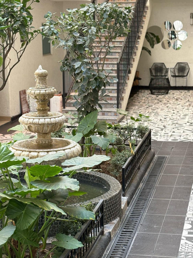 Others 4, Hotel Gallo, Guadalajara