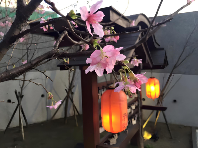 Food & Drinks 5, Yanminshan Jia Xin Hot Spring Resort, New Taipei City
