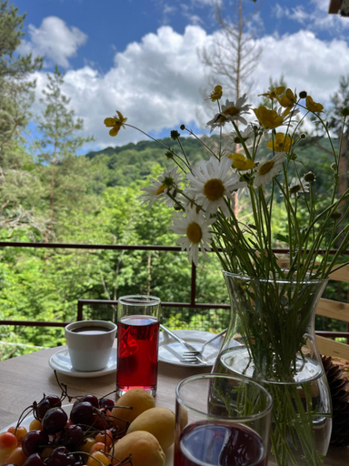 Food & Drinks 4, Kompozitor Hotel Dilijan