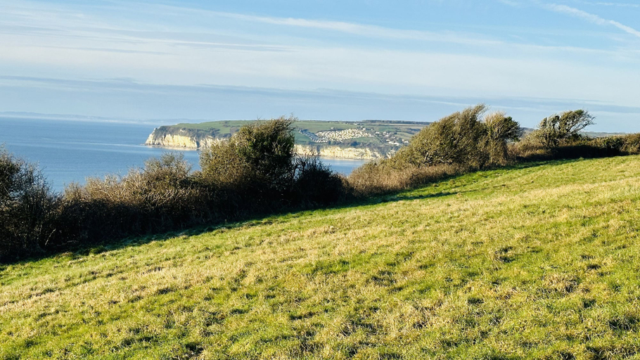 Room 3, Littlefields in Seaton, Devon