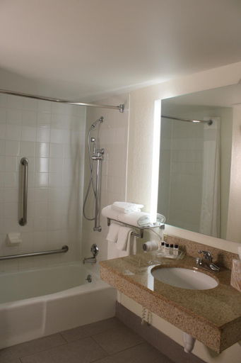 Bathroom 3, Wyndham Flint MI/Grand Blanc/Bishop Airport/Conference Ct, Genesee