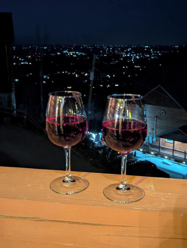 Food & Drinks, High Point Ridge, Sevier