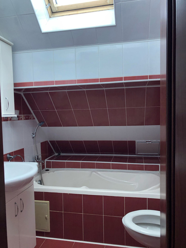 Bathroom 4, Pensiunea Brândușa, Resita