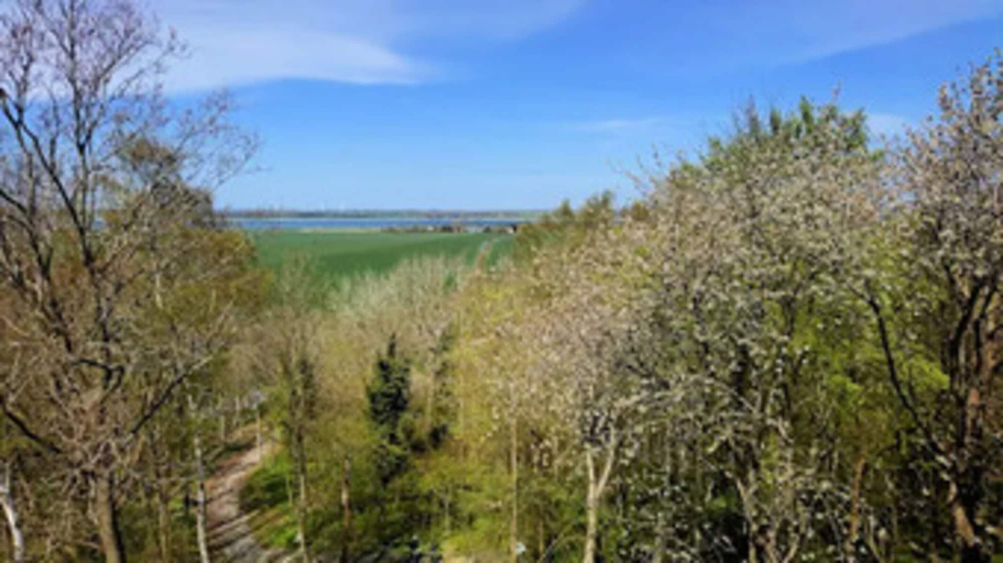 View from property 3, Ferienhaus Lotsenhaus am Breetzer Bodden, Vorpommern-Rügen