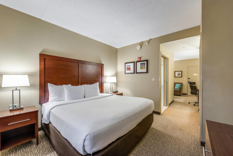 Bedroom 3, Comfort Suites O'Hare Airport, Cook
