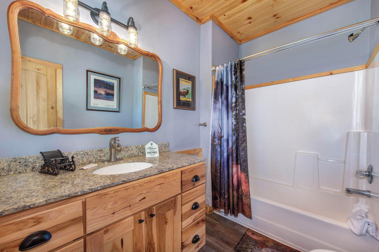 Bathroom 4, All About the Smokies, Sevier