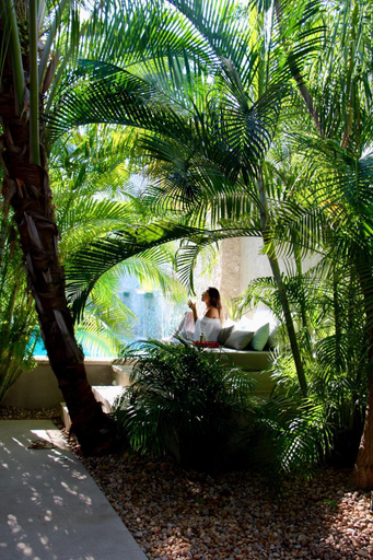 Sport & Beauty 2, The Diplomat Boutique Hotel, Mérida