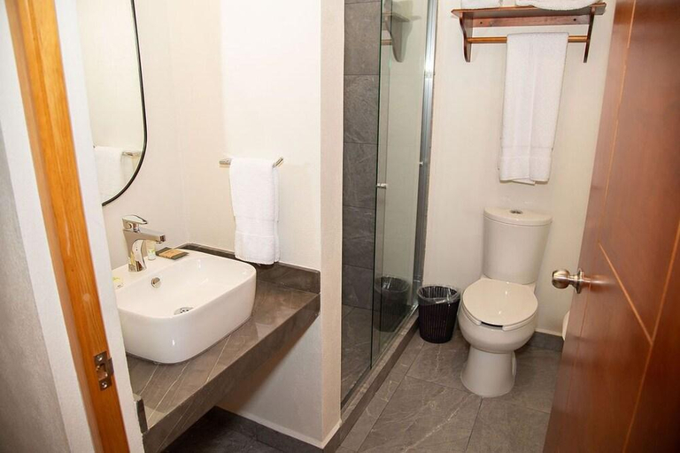 Bathroom 4, Hotel Danini, Chignautla