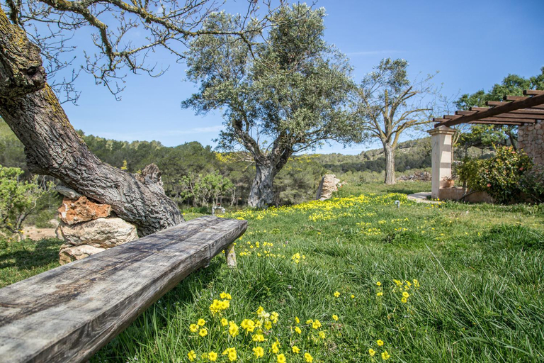 Others 4, Hotel Rural Can Pujolet, Baleares