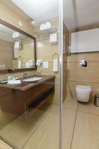 Bathroom, Tsokar Retreat, Leh