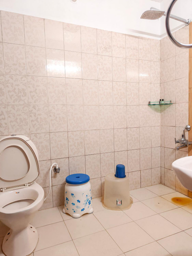 Bathroom 3, GreenLine Cottages, Kodagu