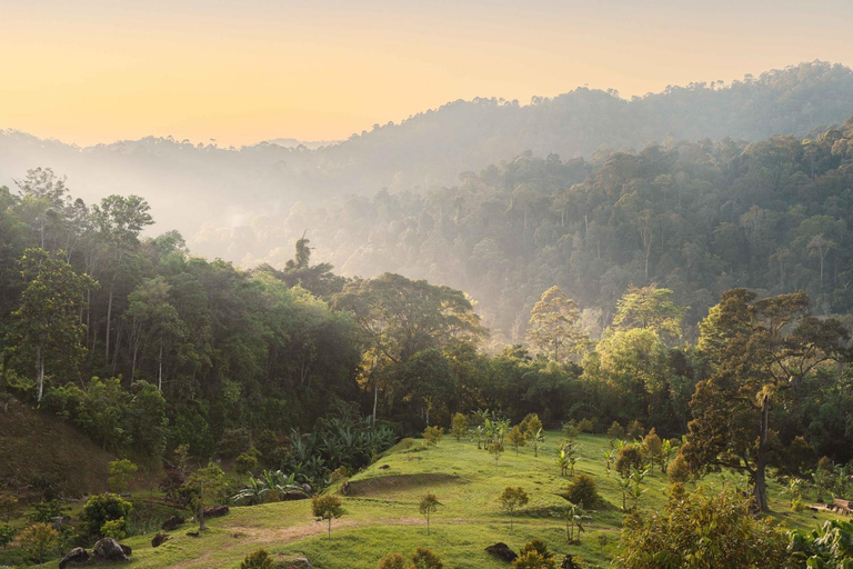 Others 3, Ellin Forest, Bentong