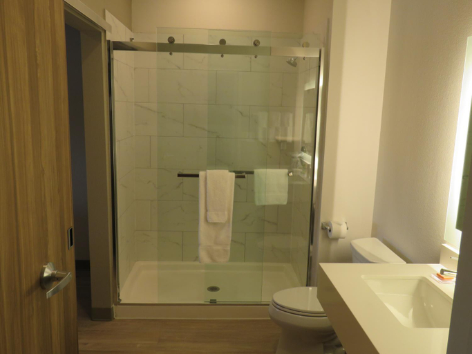 Bathroom 5, Wyndham Garden College Station, Brazos