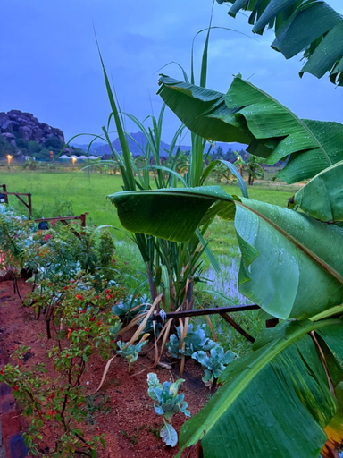 Others 4, Oshos Organic Resort Hampi, Bellary