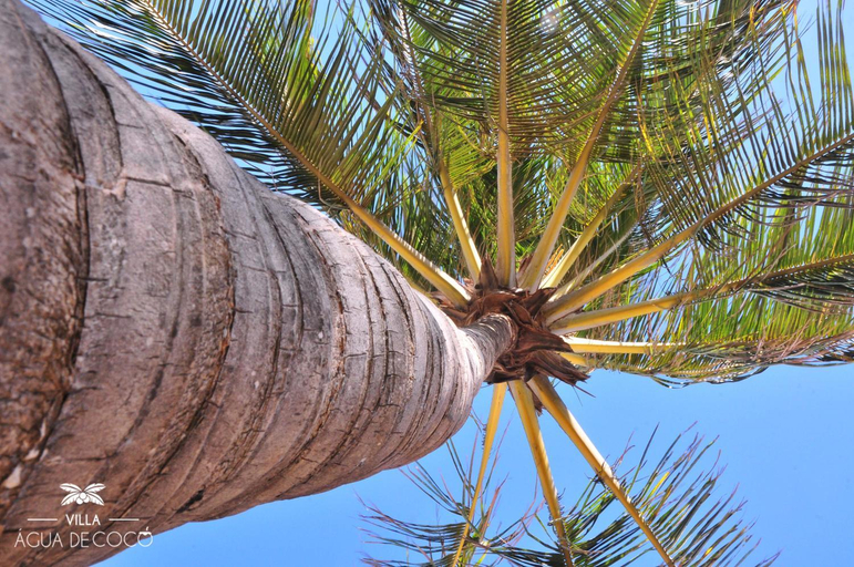 Others 5, Villa Agua de Coco, Jijoca de Jericoacoara