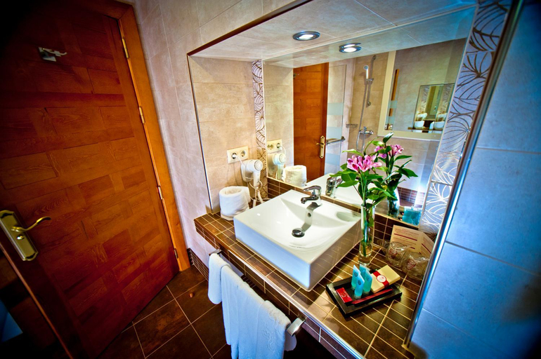 Bathroom 3, Condes de Castilla, Segovia
