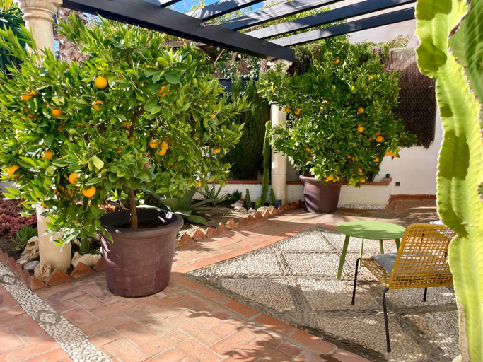 Others 4, San Miguel B&B Granada, Granada